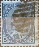 Sellos de America - Canad� -  Intercambio 4,50 usd 5 cents. 1903