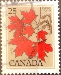 Sellos de America - Canad -  Intercambio 0,20 usd 25 cents. 1977