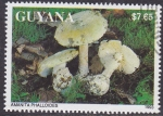 Stamps : America : Guyana :  Hongos