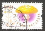 Stamps Bulgaria -  Champiñón