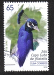 Stamps : America : Cuba :  2da Copa Cuba de Filatelia