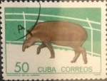 Stamps : America : Cuba :  Intercambio 0,75 usd 50 cents. 1964