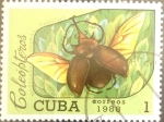Stamps Cuba -  Intercambio 0,20 usd 1 cents. 1988
