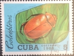 Stamps Cuba -  Intercambio crxf2 0,20 usd 5 cents. 1988