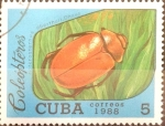 Stamps Cuba -  Intercambio 0,20 usd 5 cents. 1988