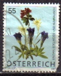 Stamps Austria -  AUSTRIA 2007 Michel 2631 SELLO FLOR EDELWEISS PEQUEÑA ROTURA EN LA PARTE INFERIOR