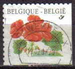 Stamps : Europe : Belgium :  BELGICA 2002 Michel 3191 SELLO SERIE FLORES USADO