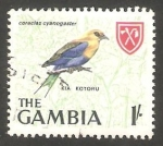 Sellos de Africa - Gambia -  209 - Pájaro coracias cyanogaster