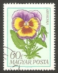 Stamps Hungary -  1994 - Flor pensamiento