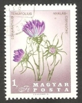 Stamps Hungary -  1882 - 150 Anivº de la muerte del botánico Pal Kitaibel, flor edraianthus tenuifolius