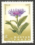 Stamps Hungary -  1884 - 150 anivº de la muerte del botánico Pal Kitaibel, flor centaurea mollis
