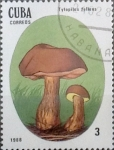 Stamps Cuba -  Intercambio nf4xb1 0,20 usd 3 cents. 1988