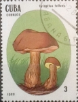 Stamps : America : Cuba :  Intercambio cxrf3 0,20 usd 3 cents. 1988