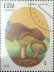 Stamps : America : Cuba :  Intercambio crxf2 0,20 usd 5 cents. 1988