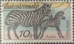 Stamps Czechoslovakia -  Intercambio 0,20  usd  10 h. 1976