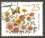 Stamps Germany -  2390 - Flor chrysanthemun carinatum