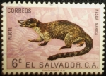Stamps El Salvador -  Coatí de Nariz Blanca