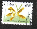 Sellos de America - Cuba -  Orquídeas