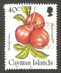 Stamps United Kingdom -  Islas Caimán - 765 - Tomates cherry