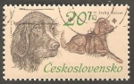 Sellos de Europa - Checoslovaquia -  1999 - Perro de raza