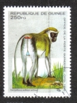 Stamps Guinea -  African Animals