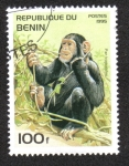 Stamps Benin -  Animales Salvajes