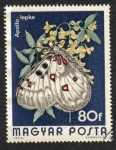 Stamps Hungary -  Mariposas