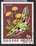 Stamps Hungary -  Mariposas