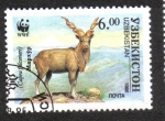 Stamps Asia - Uzbekistan -  Markhor (Capra falconeri)