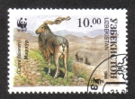 Stamps Asia - Uzbekistan -  Tres Makhors en las rocas (Capra falconeri)