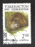 Stamps Uzbekistan -  Fauna of Uzbekistan