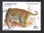Stamps : Asia : Azerbaijan :  Gatos Salvajes