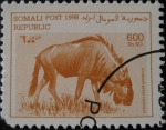 Stamps Africa - Somalia -  