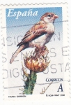 Stamps Spain -  fauna- gorrión  (19)