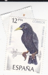 Stamps Spain -  estornino negro (19)