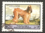 Stamps Afghanistan -   987 - Perro de raza