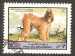 Sellos de Asia - Afganistn -   987 - Perro de raza