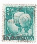 Sellos de Asia - India -  mango