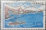 Stamps France -  Intercambio 0,30 usd 1,40 francos 1976