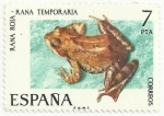 Sellos del Mundo : Europa : Espa�a : FAUNA HISPANICA. RANA ROJA. Rana temporaria. EDIFIL 2276