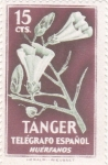 Stamps Spain -  flores- TANGER (20)