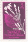 Stamps Spain -  flores- TANGER (20)