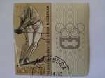Sellos del Mundo : Africa : Burundi : Burundi - Winter Olympic Games Innsbruck 1964 - Skiing