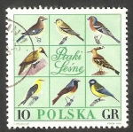Stamps Poland -  1568 - Grupo de pájaros