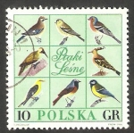 Sellos de Europa - Polonia -  1568 - Grupo de pájaros