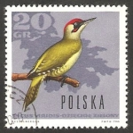Stamps Poland -  1569 - Pájaro