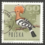 Sellos de Europa - Polonia -  1572 - Pájaro