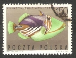Stamps Poland -  1603 - Pez exótico