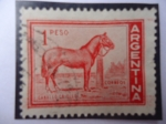 Stamps Argentina -  Caballo Criollo.