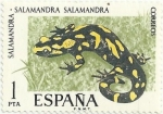 Sellos del Mundo : Europa : Espa�a : FAUNA HISPANICA. SALAMANDRA COMUN. Salamandra salamandra. EDIFIL 2272